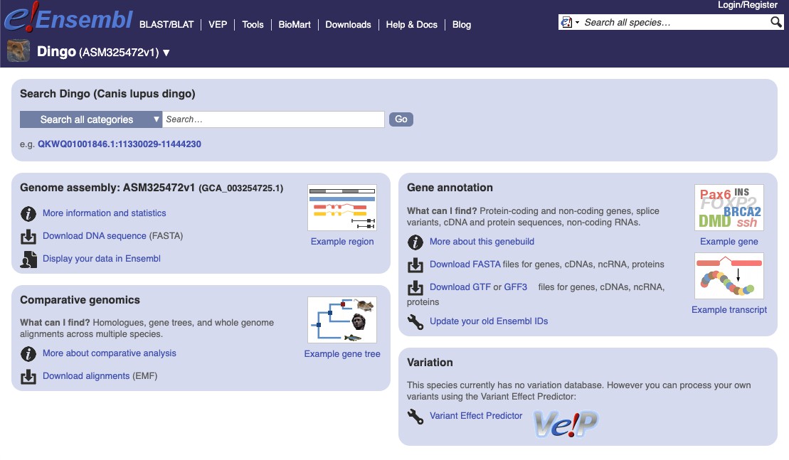 input_img1