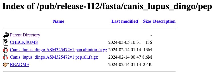 input_img3