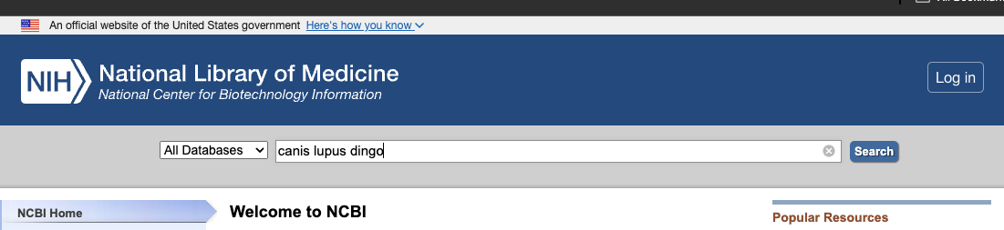 input_img4